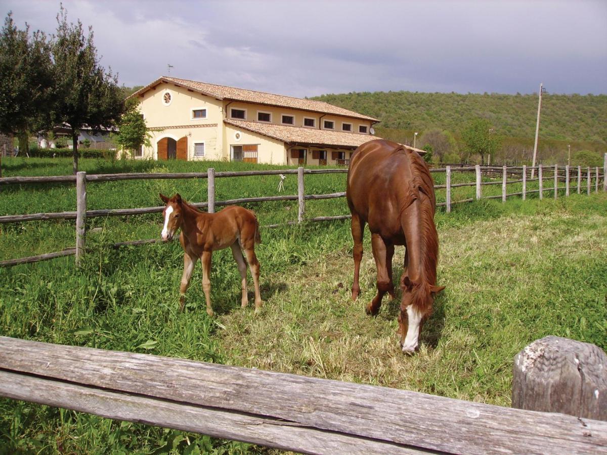 Agriturismo Potrero Grande Sul Lago Di Martignano Con Spiaggia 坎帕尼亚诺·迪罗马 外观 照片