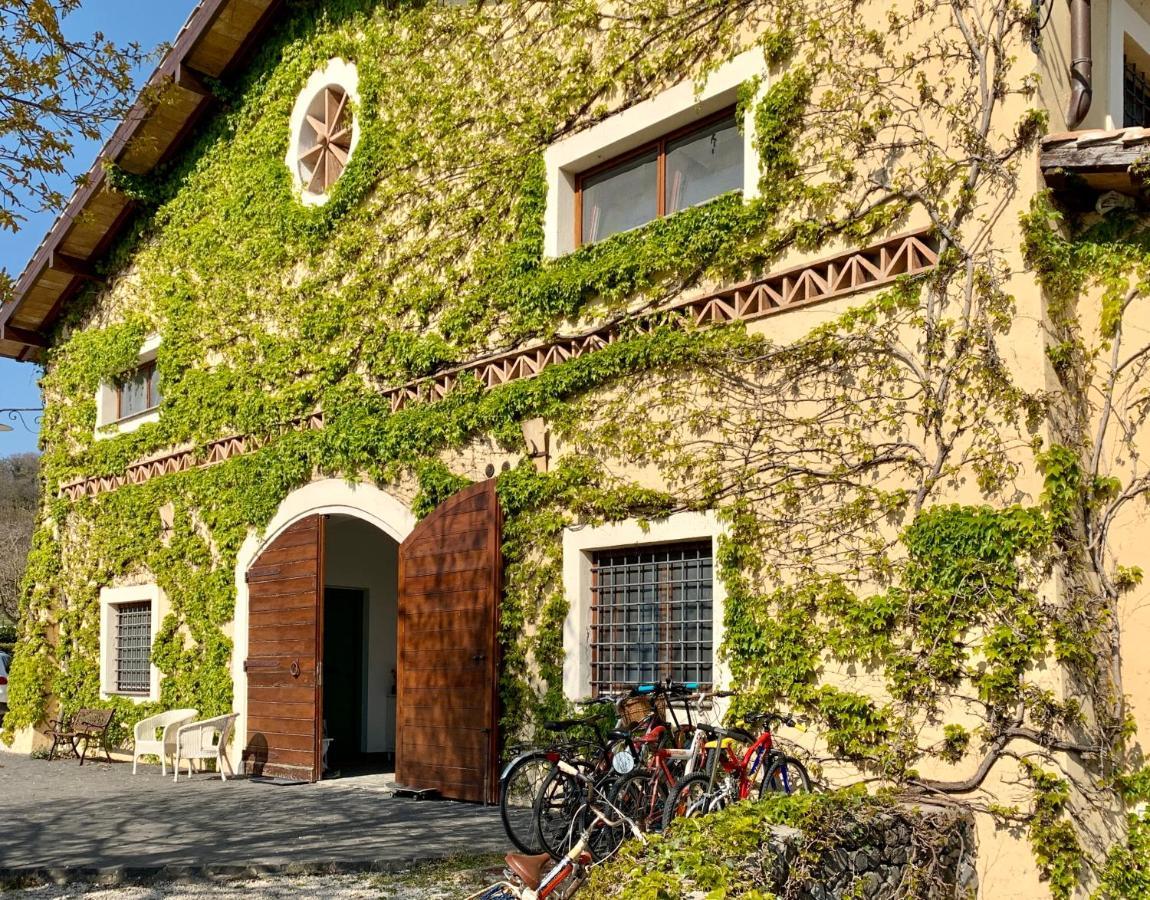 Agriturismo Potrero Grande Sul Lago Di Martignano Con Spiaggia 坎帕尼亚诺·迪罗马 外观 照片
