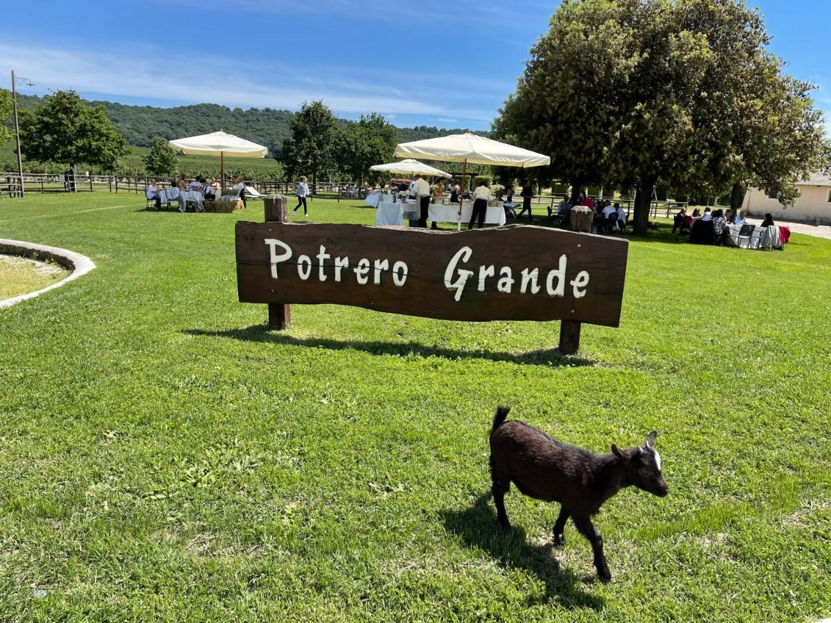 Agriturismo Potrero Grande Sul Lago Di Martignano Con Spiaggia 坎帕尼亚诺·迪罗马 外观 照片