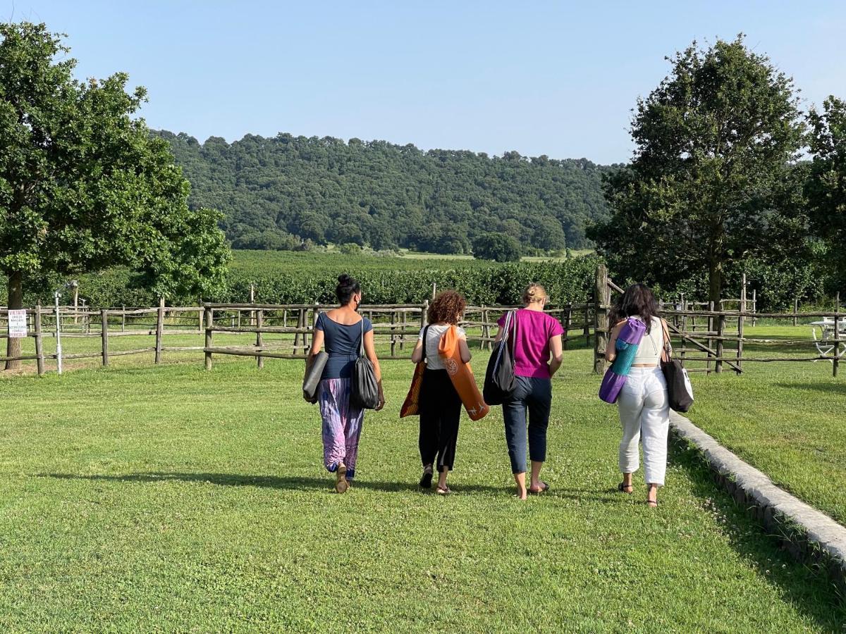 Agriturismo Potrero Grande Sul Lago Di Martignano Con Spiaggia 坎帕尼亚诺·迪罗马 外观 照片