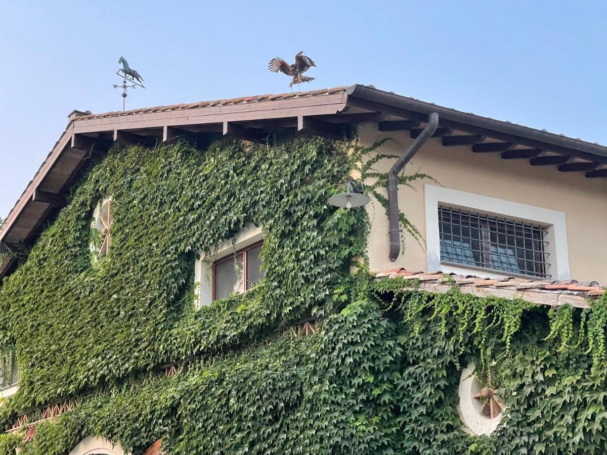 Agriturismo Potrero Grande Sul Lago Di Martignano Con Spiaggia 坎帕尼亚诺·迪罗马 外观 照片
